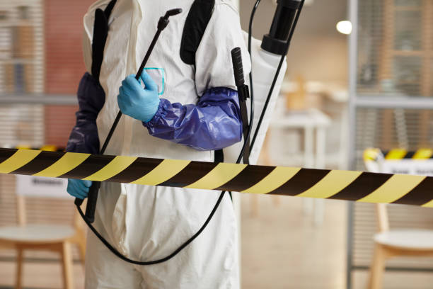 Professional Odor Removal technician working in East Baldwin, ME