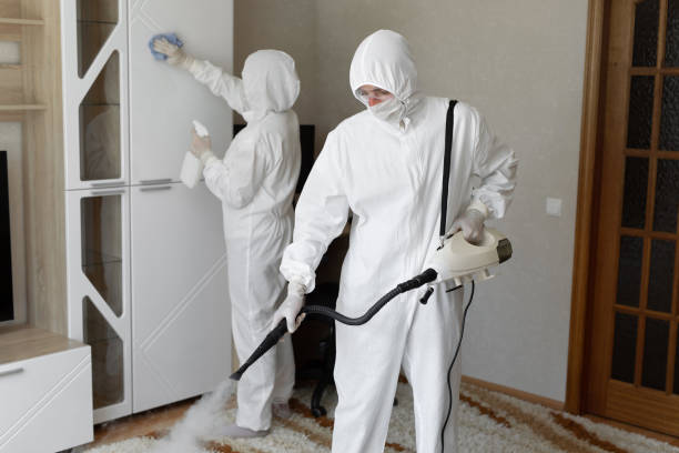 24/7 Emergency Odor Removal experts in East Baldwin, ME