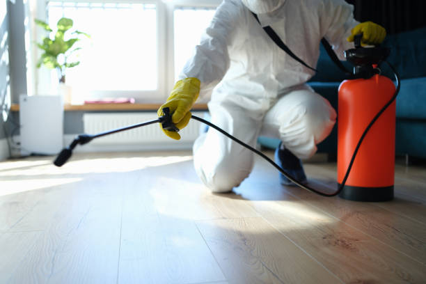 Reliable Odor Removal contractor in East Baldwin, ME by Trauma Clean Pros
